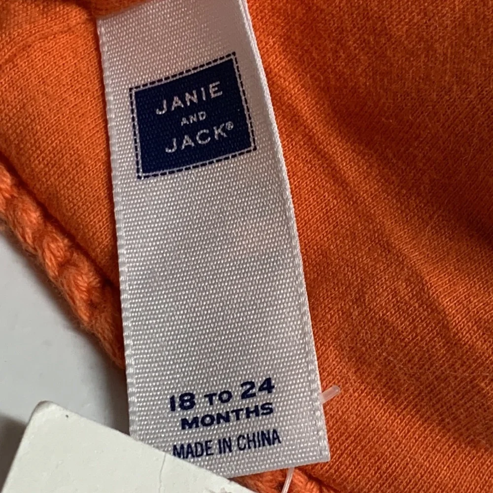 Janie and Jack Pumpkin/Carrot Beanie